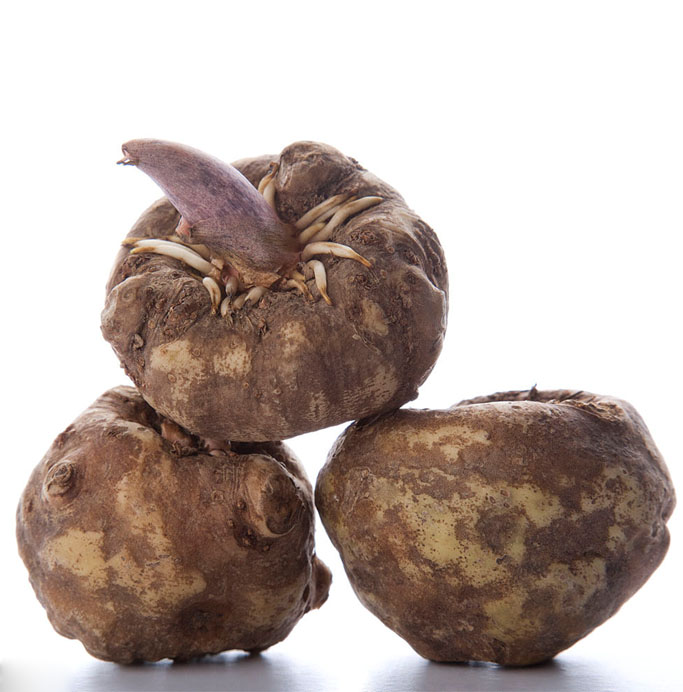 魔芋是什么？